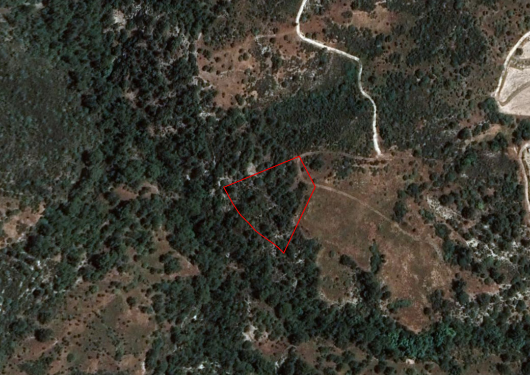 Limassol Property Field