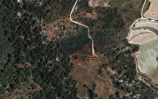 Limassol Property Field