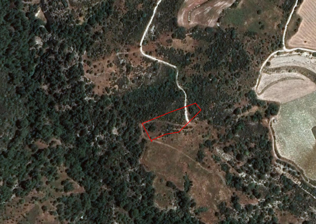 Limassol Property Field