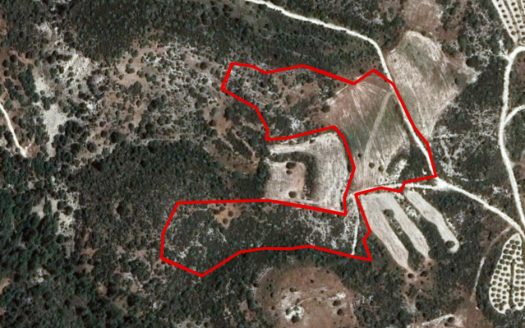 Limassol Property Field