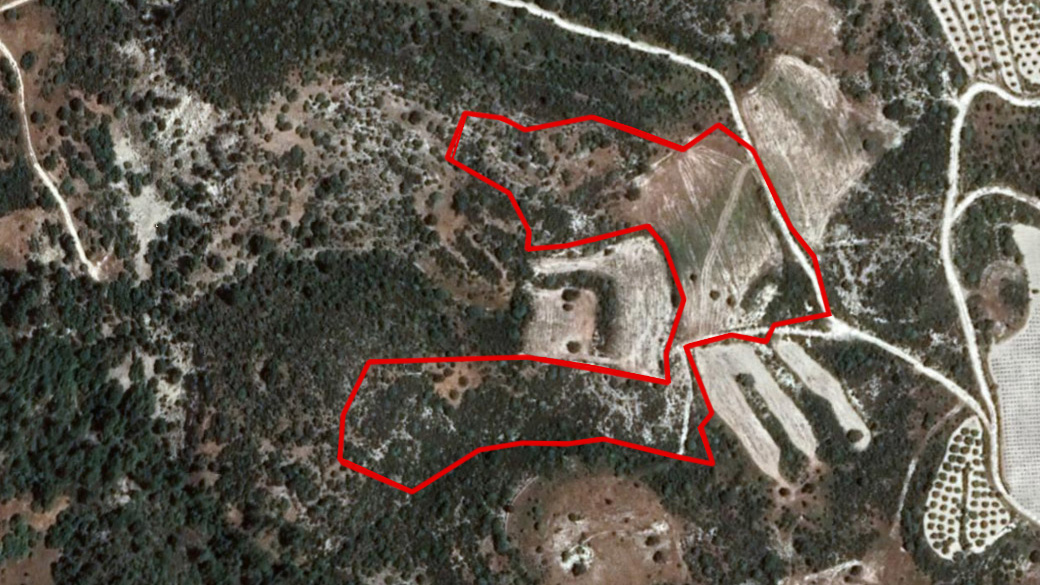 Limassol Property Field