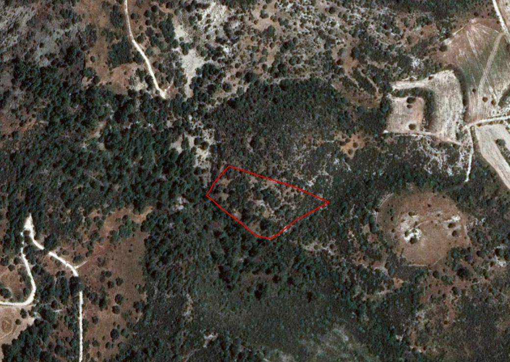 Limassol Property Large Plot in Dora