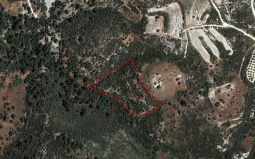 Limassol Property Field in Dora