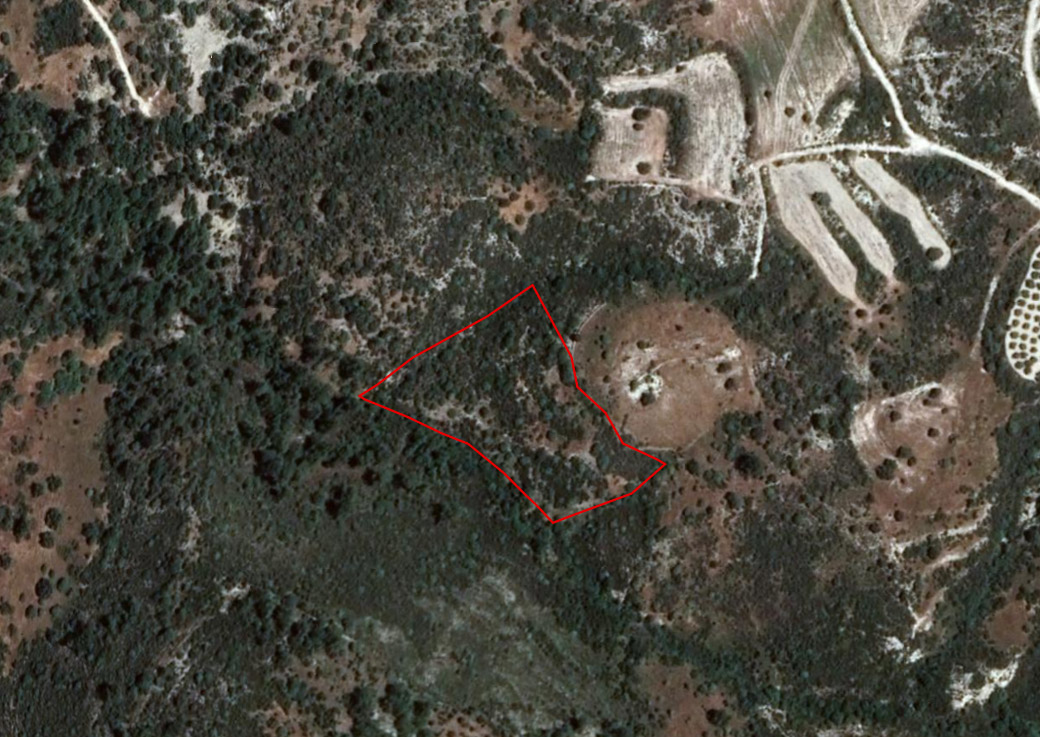 Limassol Property Field in Dora