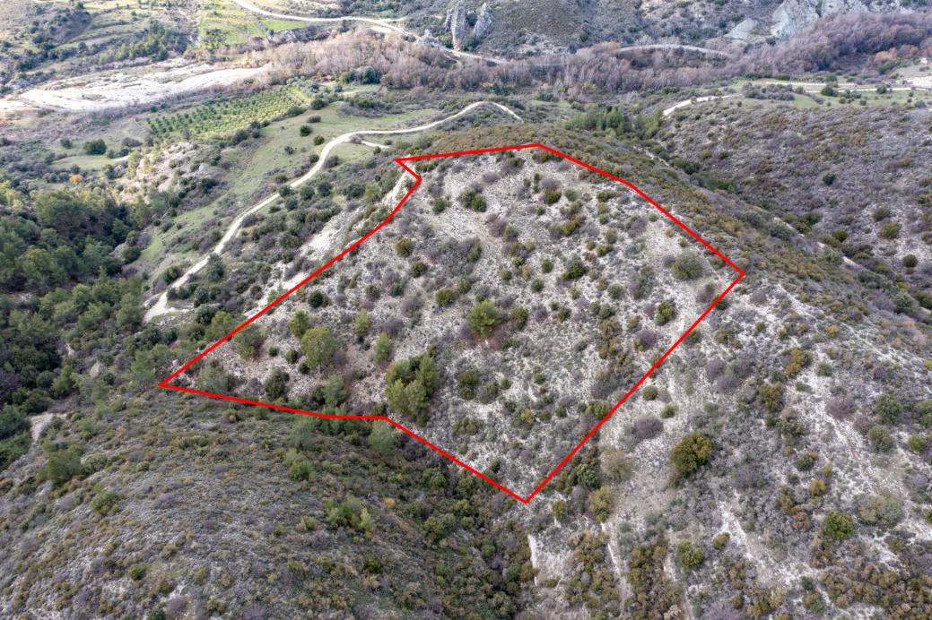Limassol Property Field