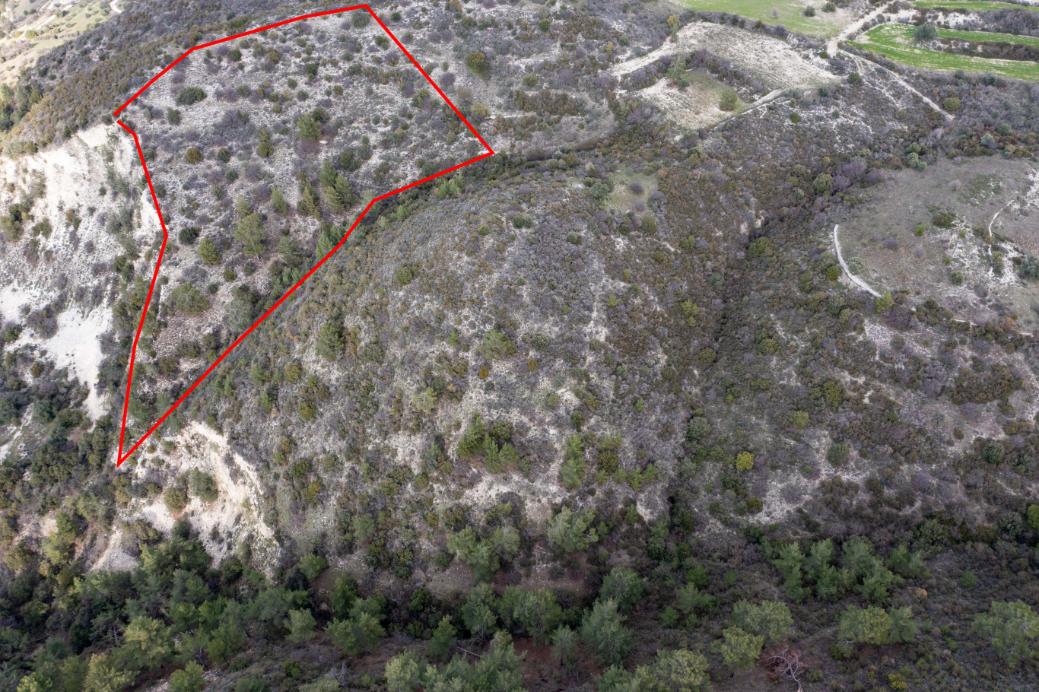 Limassol Property Field