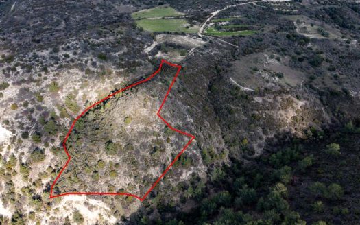 Limassol Property Field