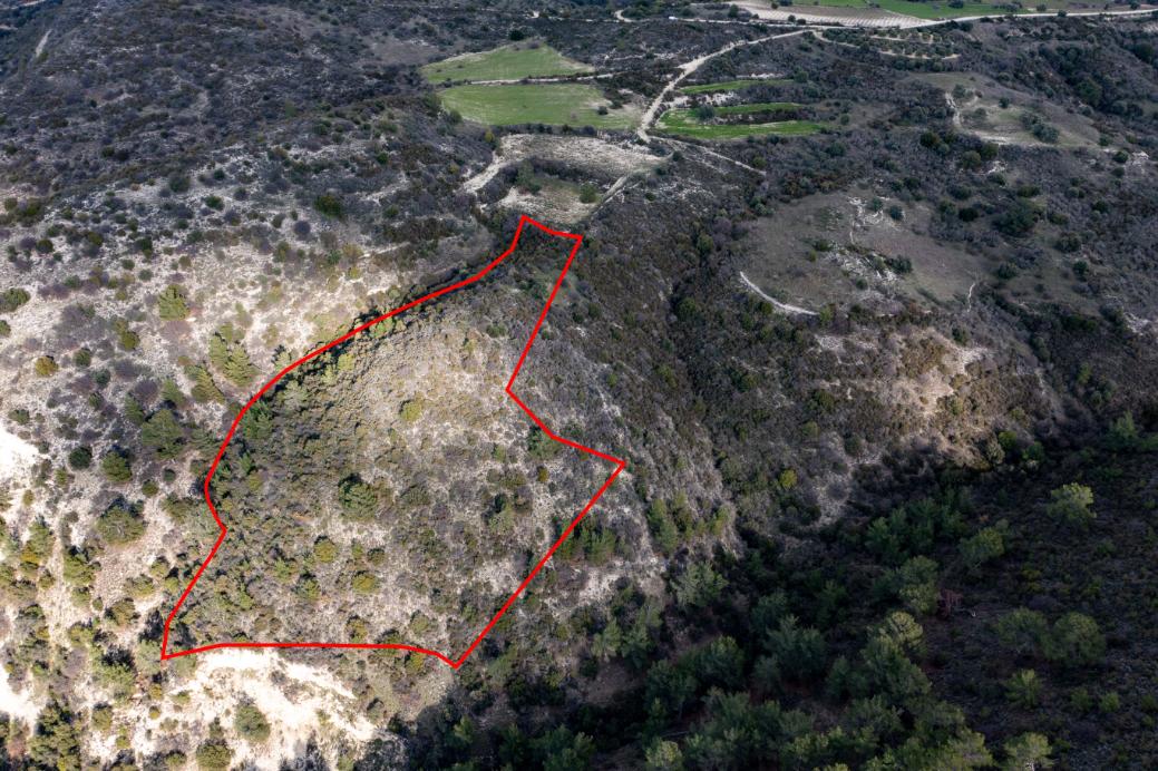 Limassol Property Field