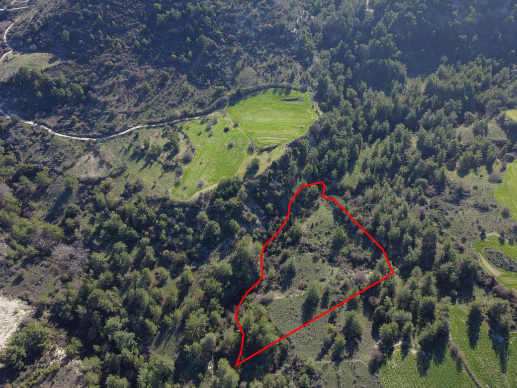 Paphos Property Field