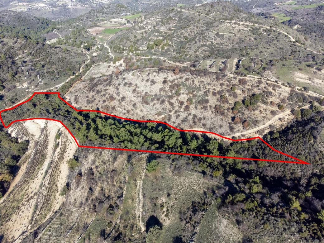 Paphos Property Field
