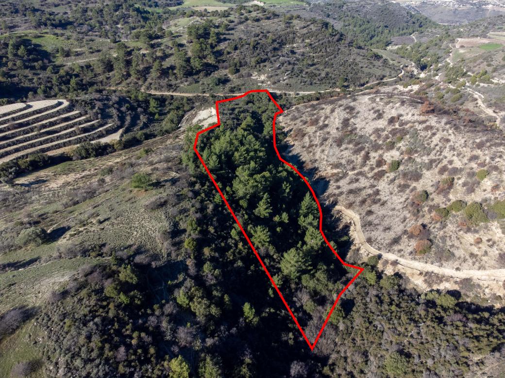 Paphos Property Field