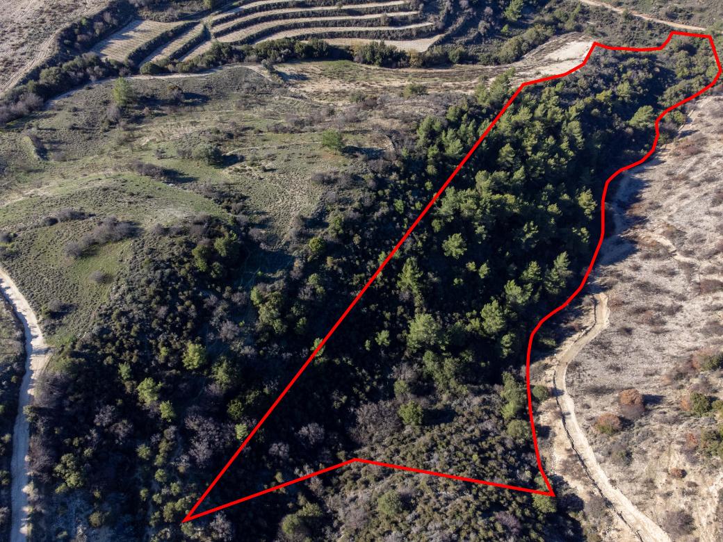 Paphos Property Field