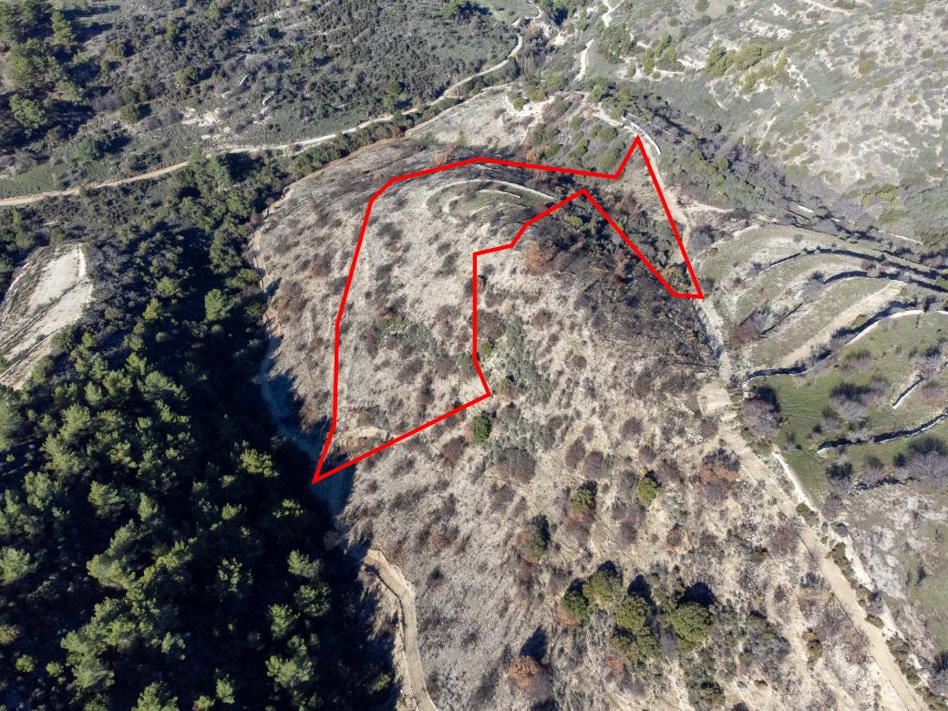 Paphos Property Field