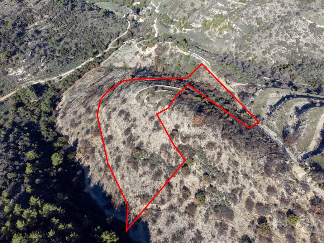 Paphos Property Field