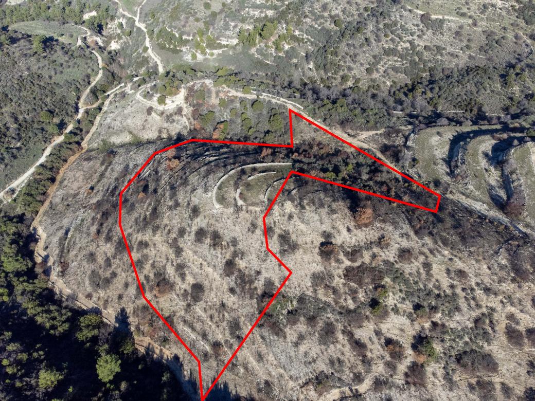 Paphos Property Field