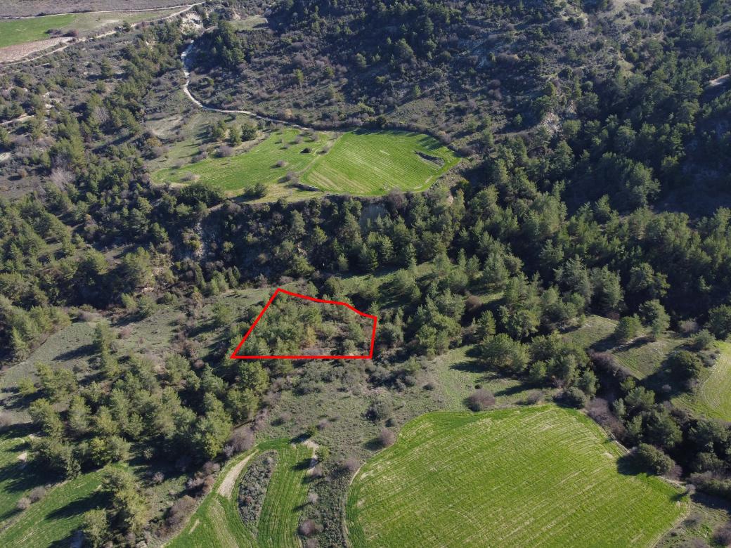Paphos Property Field