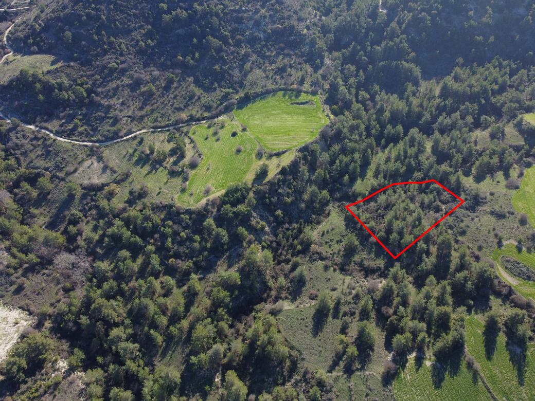 Paphos Property Field