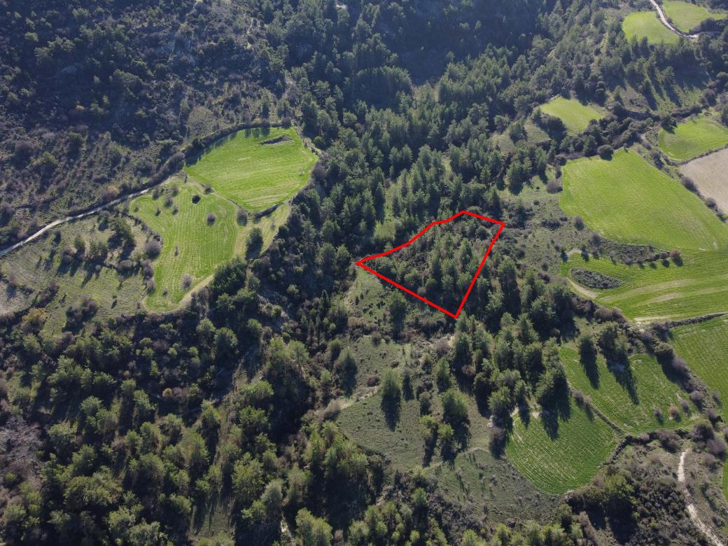 Paphos Property Field