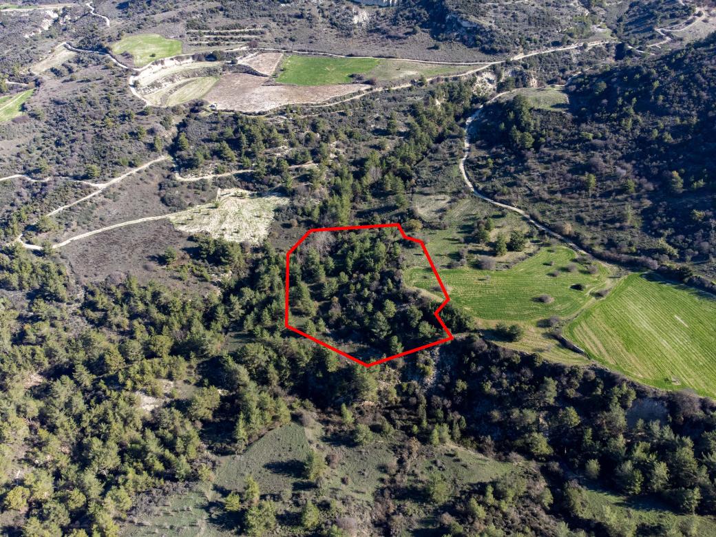 Paphos Property Field