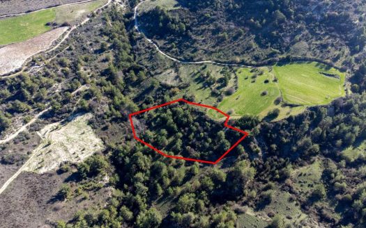 Paphos Property Field
