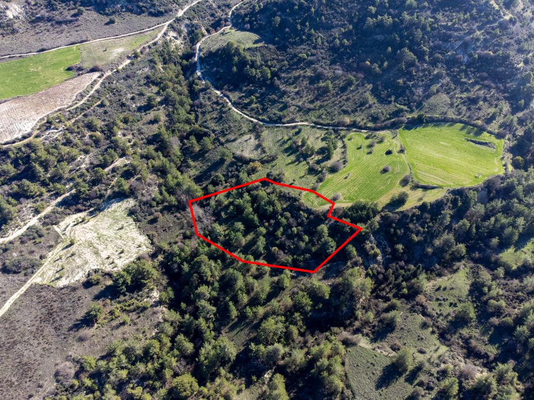 Paphos Property Field
