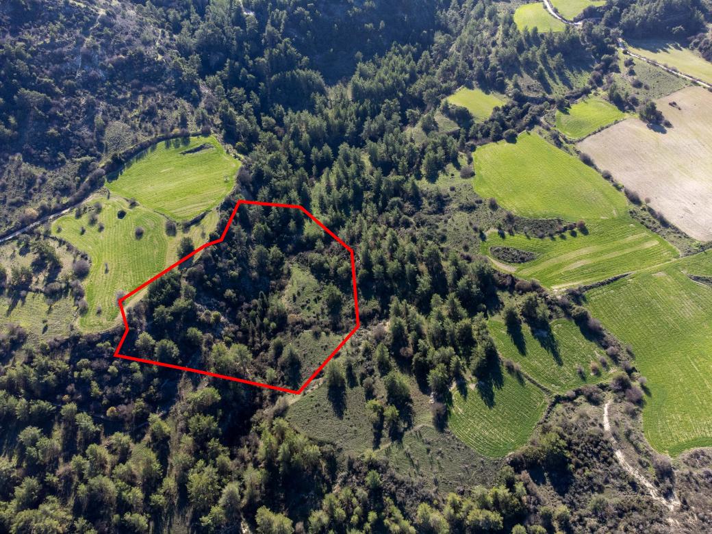 Paphos Property Field
