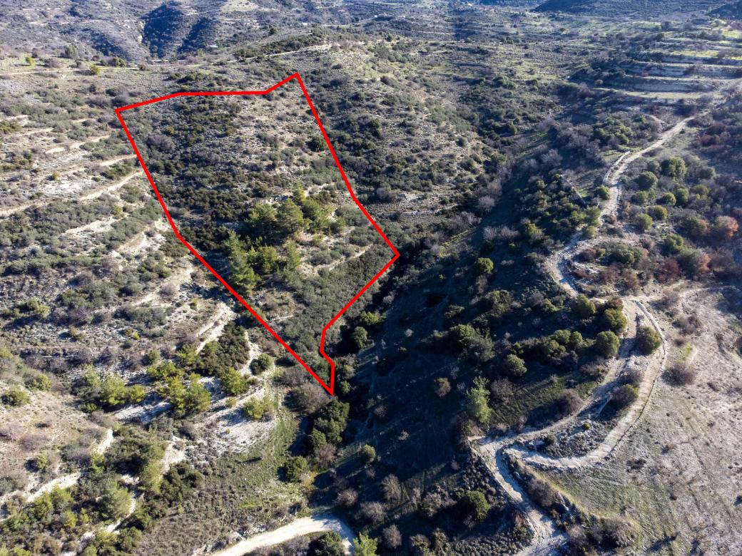 Paphos Property Field