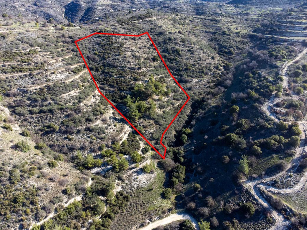 Paphos Property Field