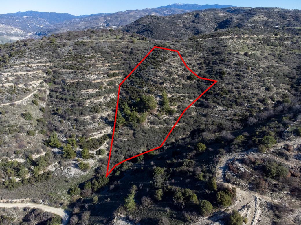 Paphos Property Field