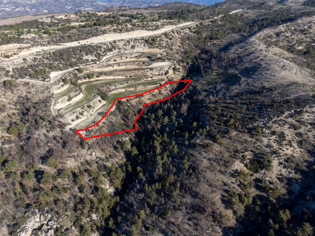 Paphos Property Field