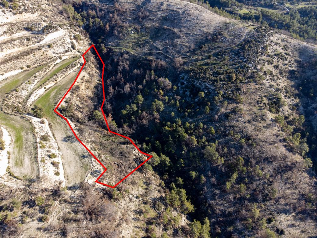 Paphos Property Field