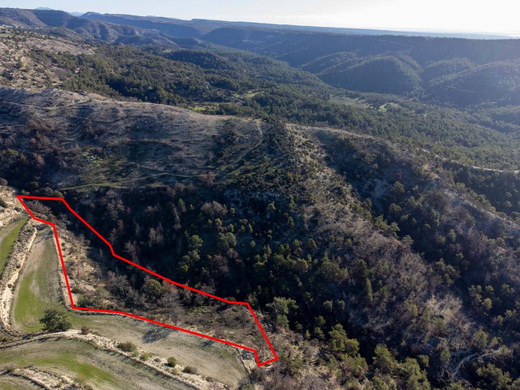 Paphos Property Field