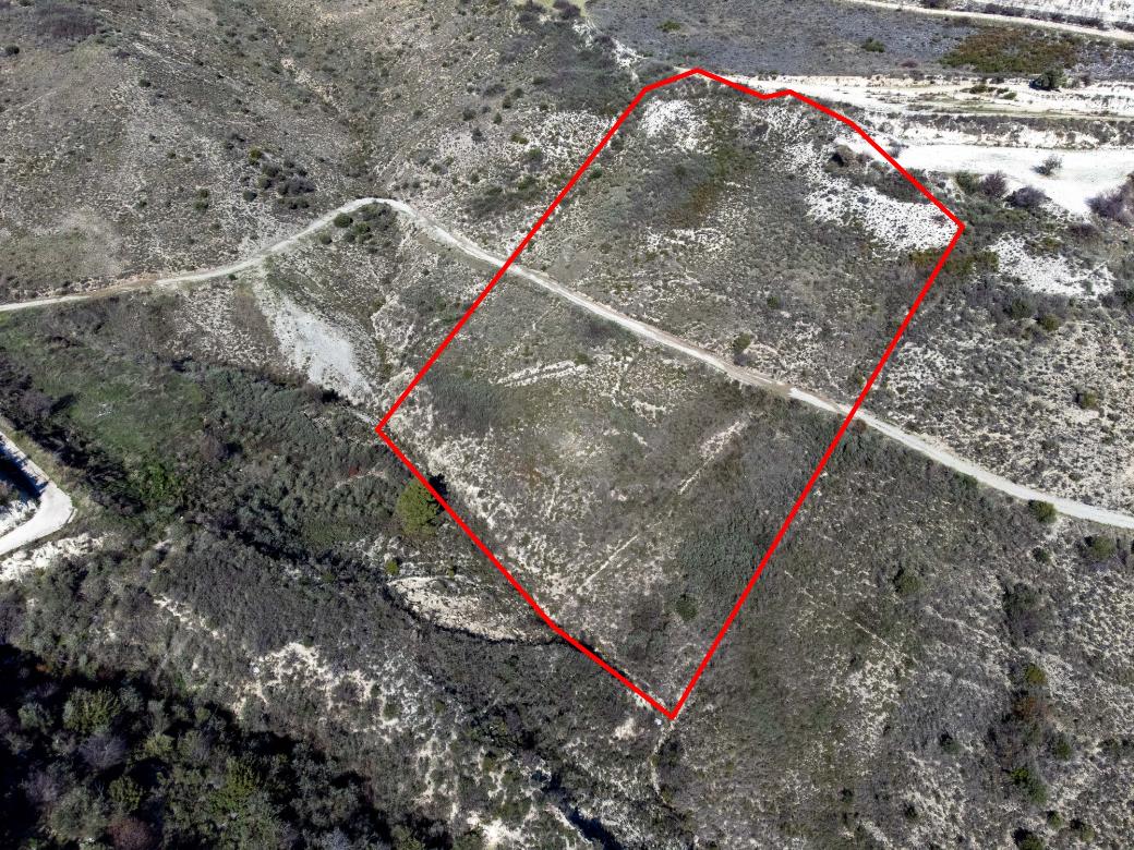 Paphos Property Field