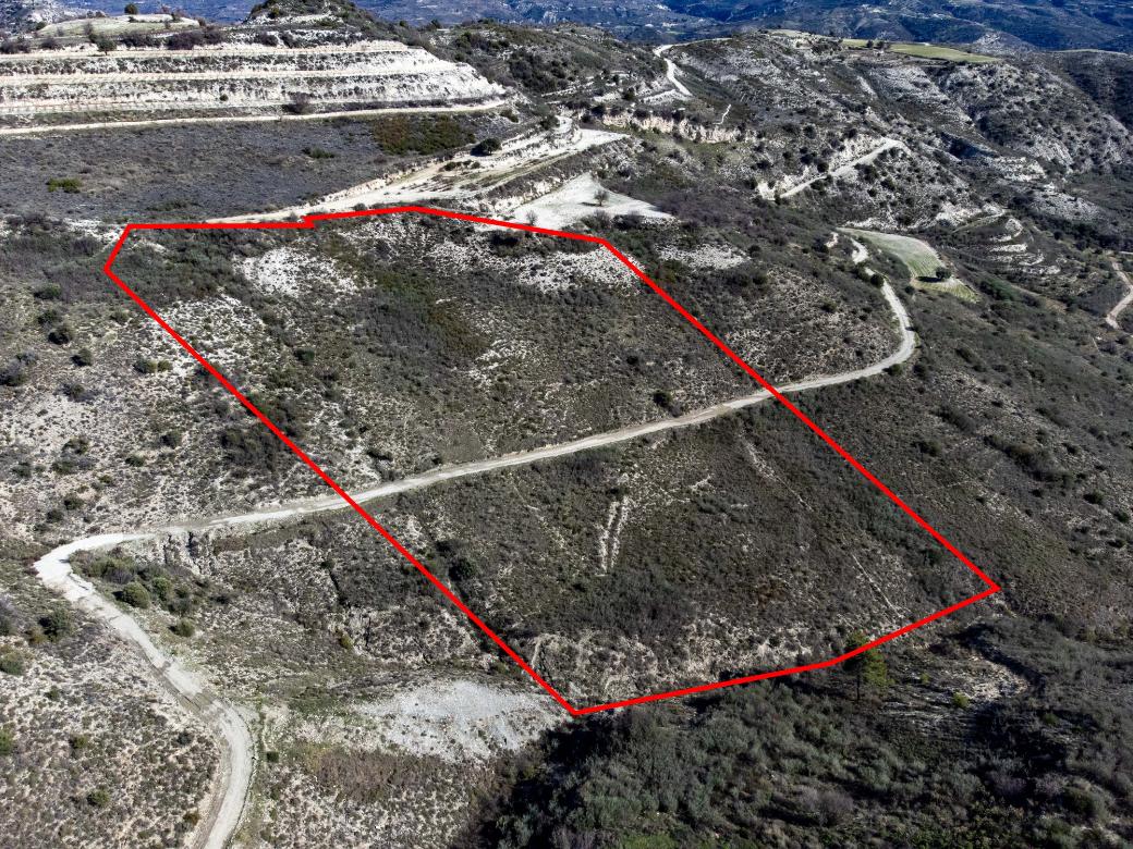 Paphos Property Field