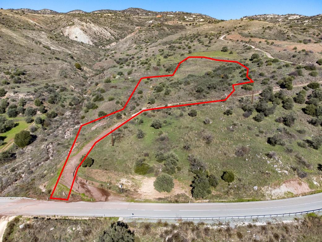 Paphos Property Shared Field