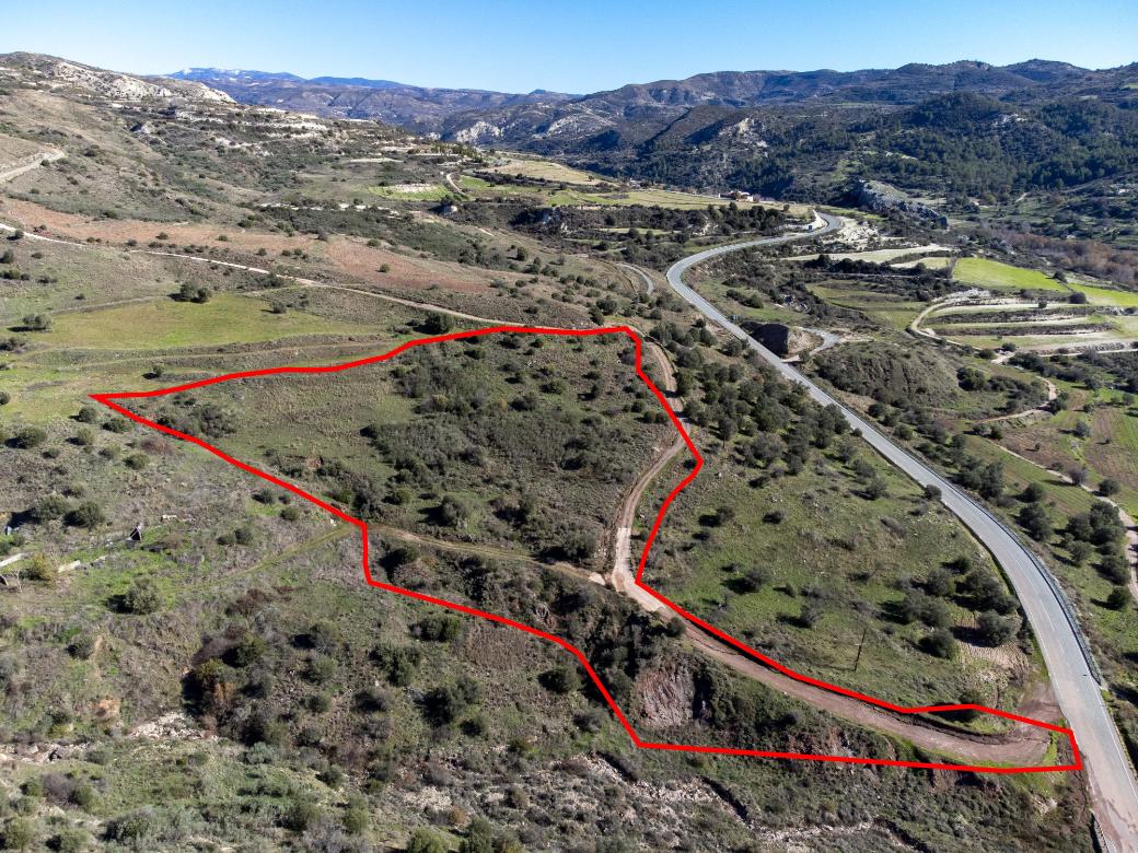 Paphos Property Shared Field