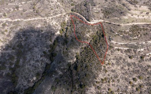 Limassol Property Field
