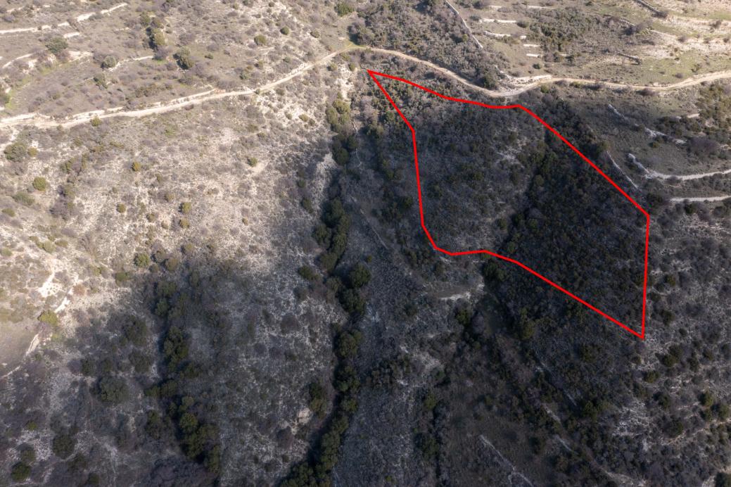 Limassol Property Field
