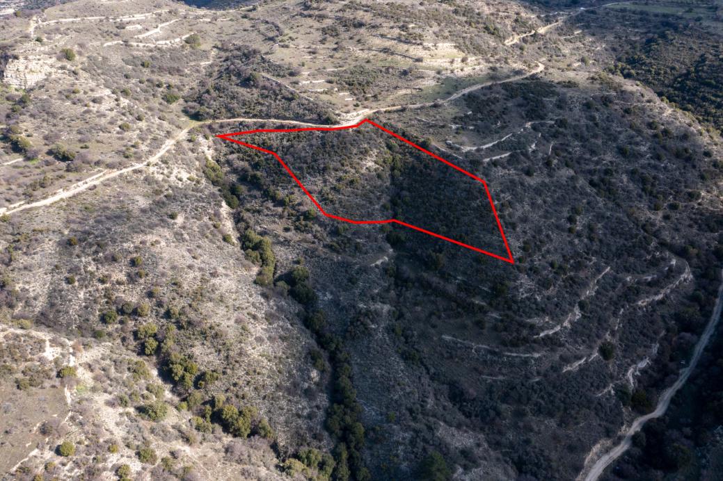 Limassol Property Field