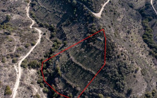 Limassol Property Field