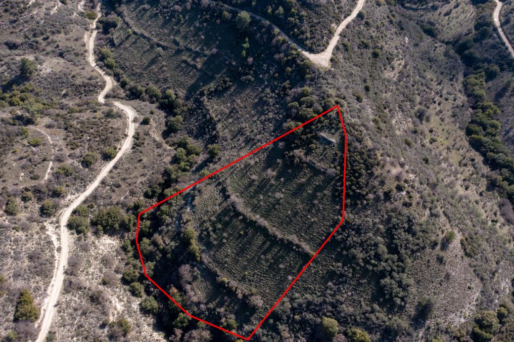 Limassol Property Field