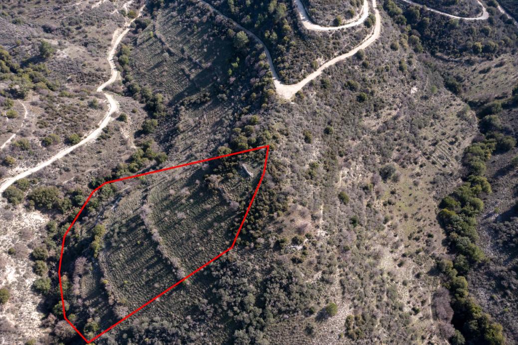 Limassol Property Field