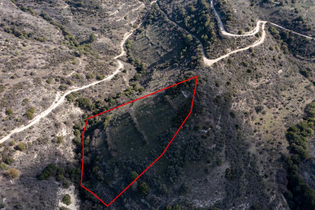 Limassol Property Field