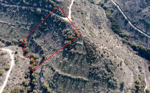 Limassol Property Field