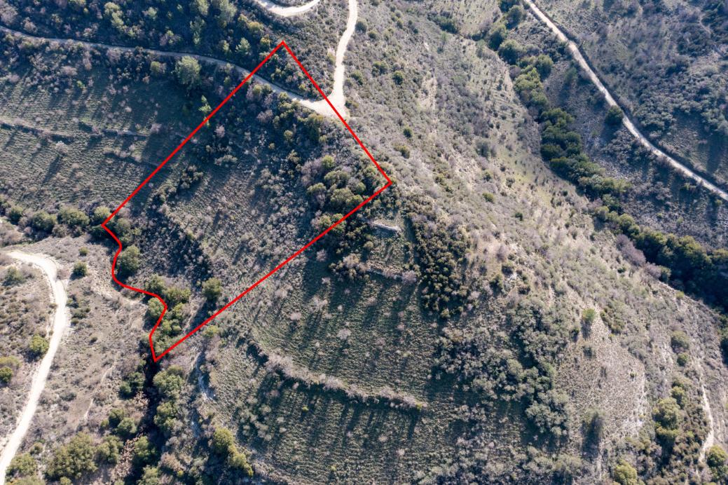 Limassol Property Field
