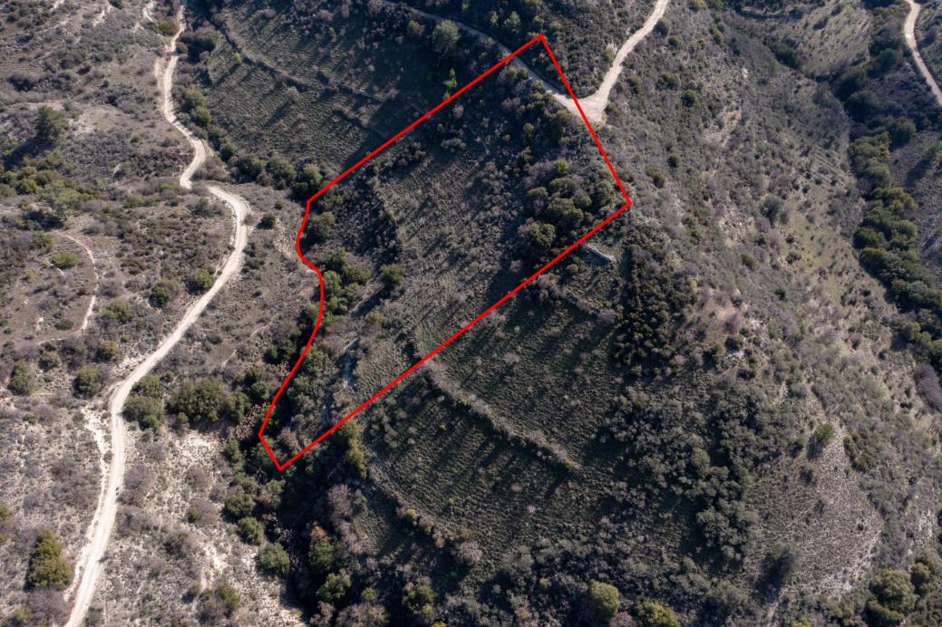 Limassol Property Field