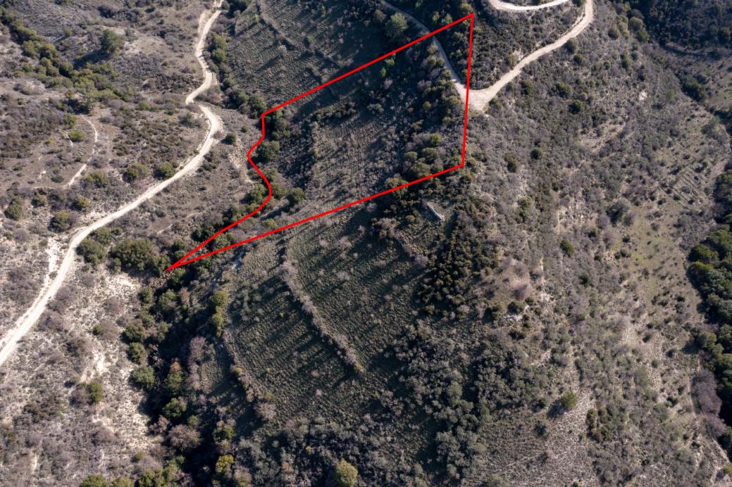 Limassol Property Field