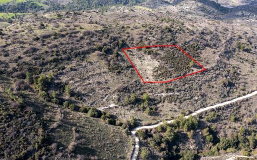 Limassol Property Field In Dora