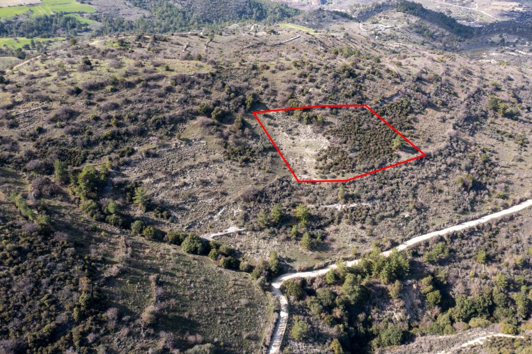 Limassol Property Field In Dora
