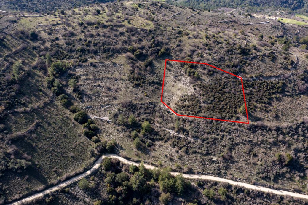 Limassol Property Field In Dora